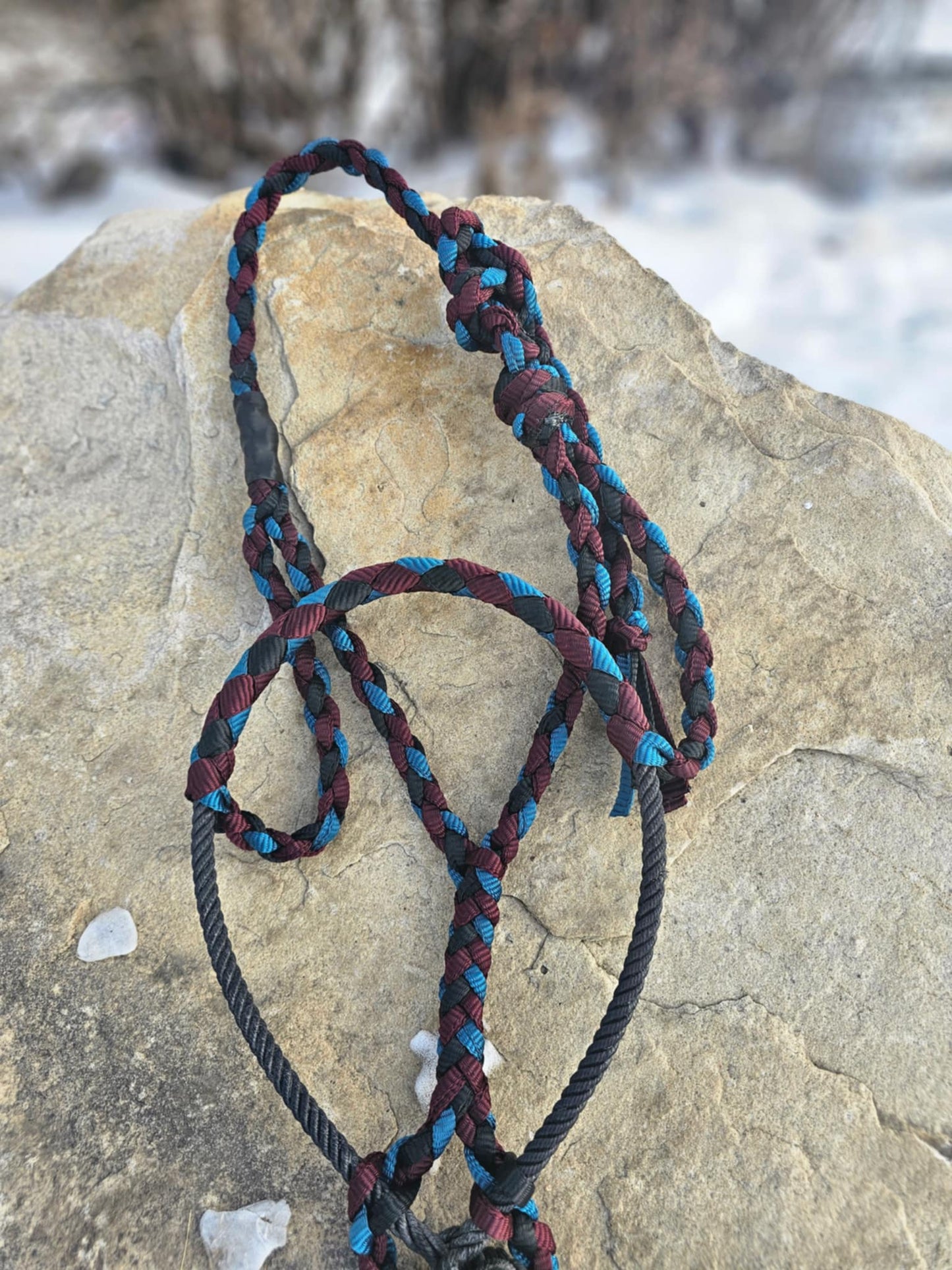 Blue Jean Blue- Burgandy and Black Mule Tape Halter