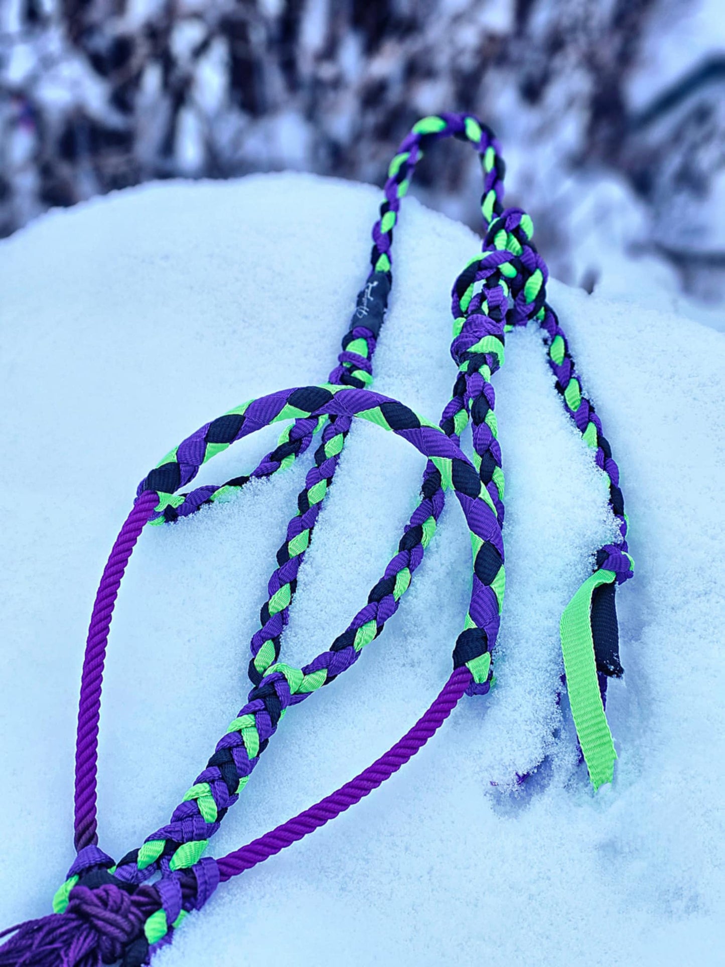 Lime - Purple - Black