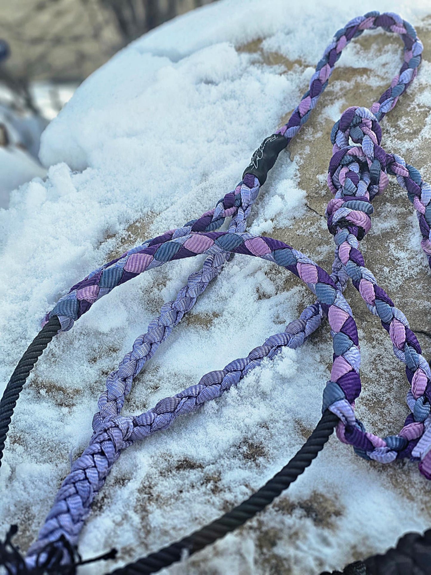 Shades of Purple Mule Tape Halter