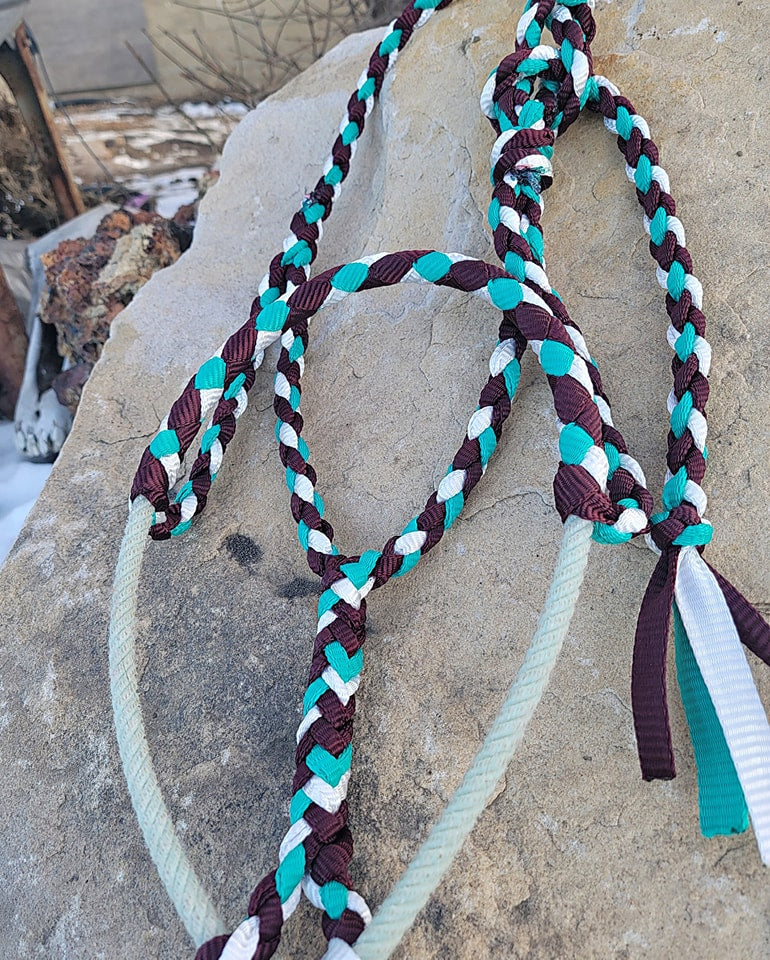 Burgandy, Turquoise White Mule Tape Halter